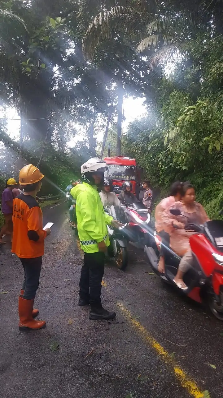 Pohon Tumbang Tutup Total Jalan Tonsea Lama, Kolaborasi Cepat Berbagai Pihak Selamatkan Arus Lalu Lintas